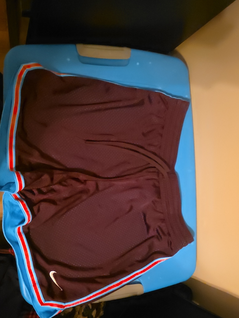 Nike Women's Athletic Shorts with Blue and Red Trim